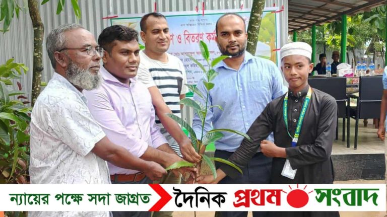 ঝিনাইগাতীতে আসঝির মাসব্যাপী বৃক্ষরোপণ ও বিতরণ কার্যক্রম: সামাজিক কল্যাণে উজ্জ্বল দৃষ্টান্ত