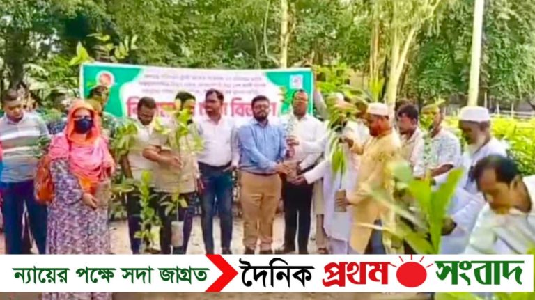 জলবায়ু পরিবর্তনের প্রভাব মোকাবেলায় শেরপুরে বিনামূল্যে ১৬ হাজার গাছের চারা বিতরণ