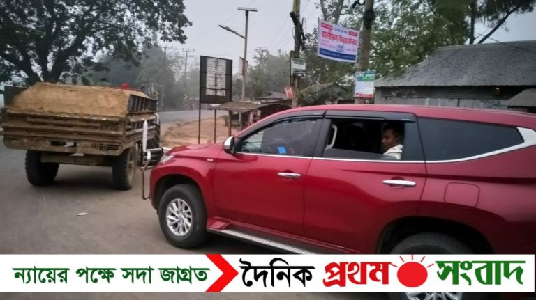 ঝিনাইগাতীতে অবৈধ বালু পরিবহনের দায়ে দুইজনের কারাদণ্ড