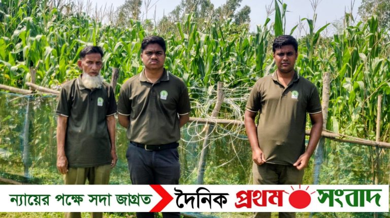 শেরপুরে বন্য হাতি ঠেকাতে অবৈধ বিদ্যুৎ ফাঁদ, বন বিভাগের অভিযানে লাইন বিচ্ছিন্ন