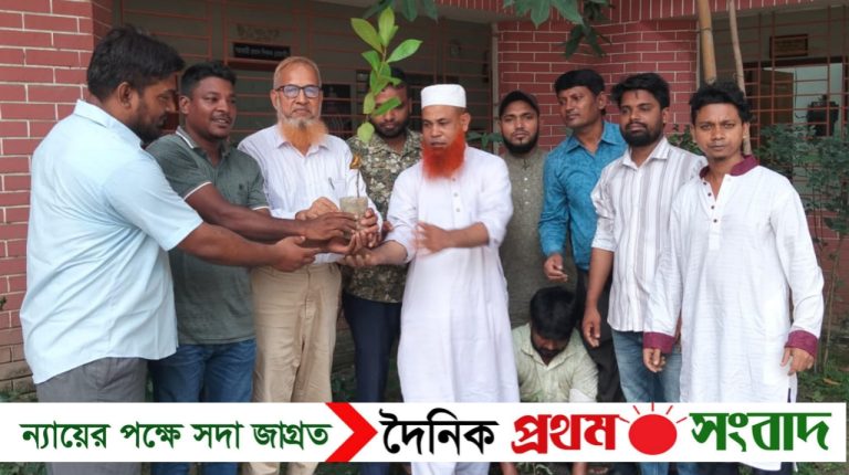 ভাটারা ছোলমাইদ স্কুল অ্যান্ড কলেজে এনসিপির বৃক্ষরোপণ কর্মসূচি