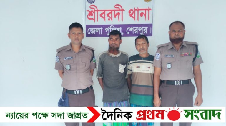শ্রীবরদীতে গাঁজা সহ ২ মাদক সেবী গ্রেপ্তার